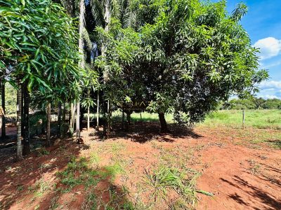 Fazenda, 4 hectares - Foto 2