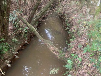 Terreno, 2500 m² - Foto 2