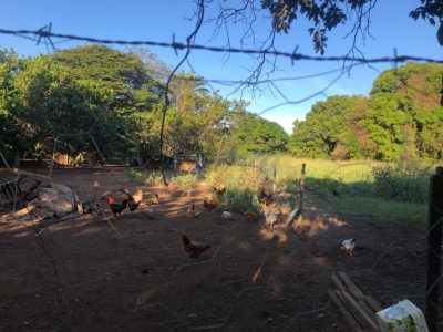 Chácara - Foto 1