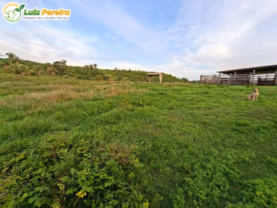 Terreno, 774 m² - Foto 3