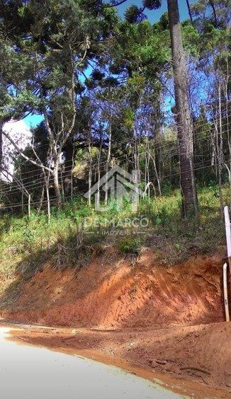 Terreno, 522 m² - Foto 4