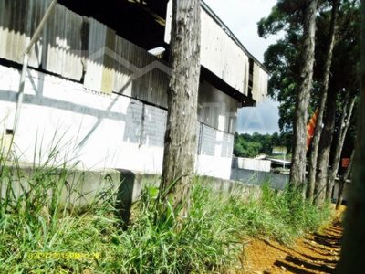 Depósito-Galpão, 2800 m² - Foto 5
