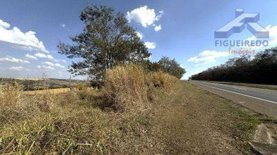 Sítio, 2 quartos, 4 hectares - Foto 4