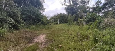 Terreno, 280 m² - Foto 2