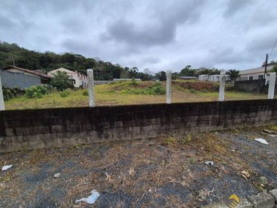 Terreno, 5 hectares - Foto 4