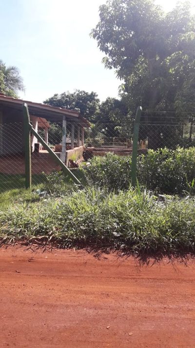 Chácara, 1 quarto, 5000 m² - Foto 2