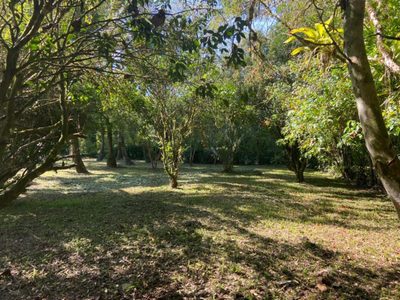 Terreno, 2 hectares - Foto 3