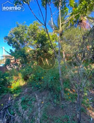 Casa, 360 m² - Foto 5