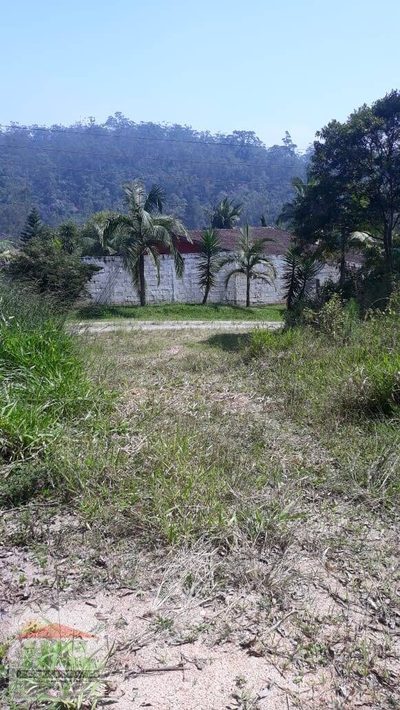 Terreno, 12 hectares - Foto 2