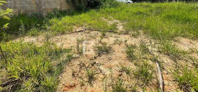 Terreno, 1000 m² - Foto 4