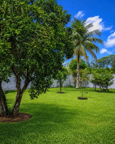 Fazenda, 1000 m² - Foto 4