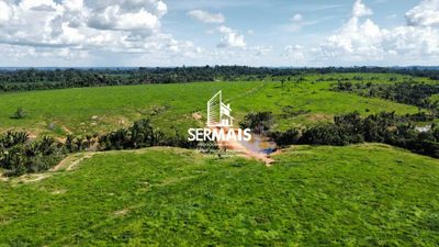 Fazenda, 218 hectares - Foto 2