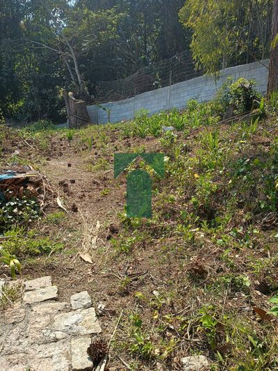 Terreno, 300 m² - Foto 5