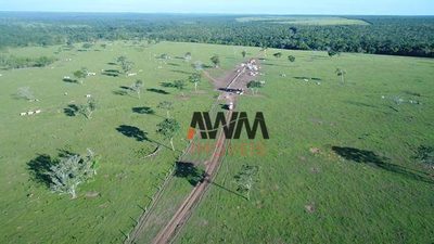 Fazenda, 6280 hectares - Foto 4