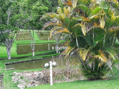 Chácara, 4 quartos, 2 hectares - Foto 5