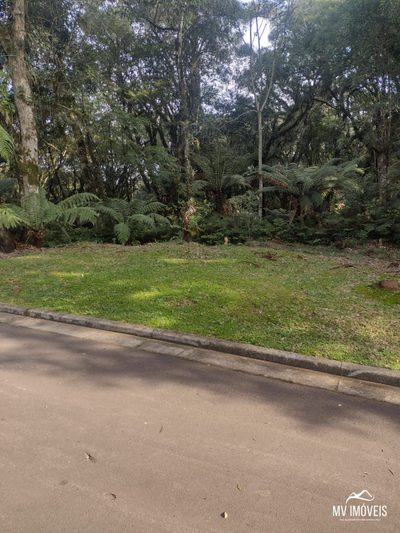 Terreno, 1284 m² - Foto 5