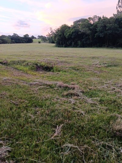 Terreno, 7 hectares - Foto 5