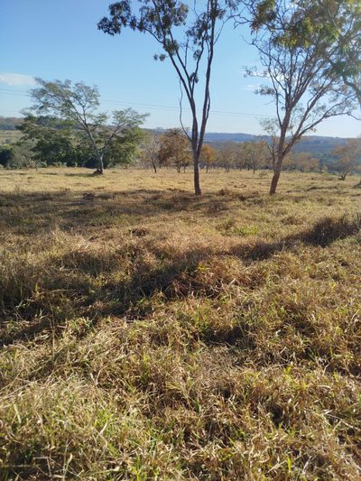 Chácara, 1 quarto, 78 hectares - Foto 4