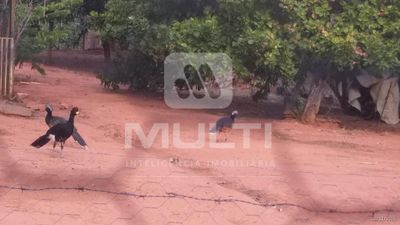 Chácara, 2 quartos - Foto 4