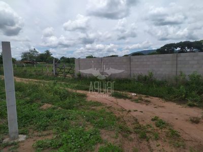 Terreno - Foto 2