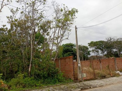 Terreno - Foto 4