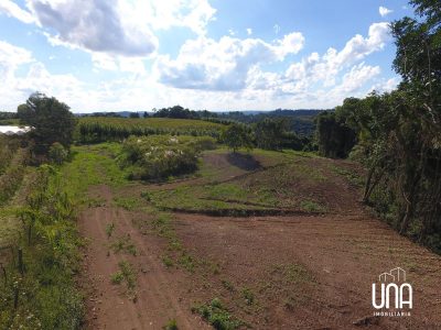 Chácara, 2 hectares - Foto 4