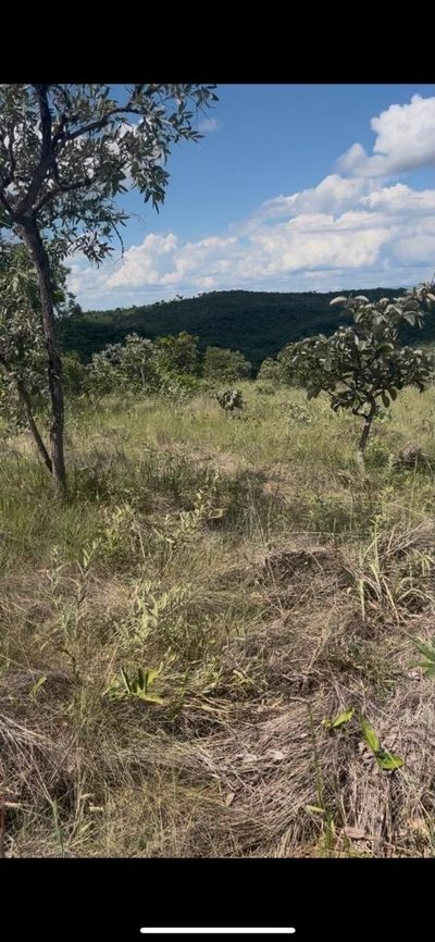 Terreno, 20000 m² - Foto 4