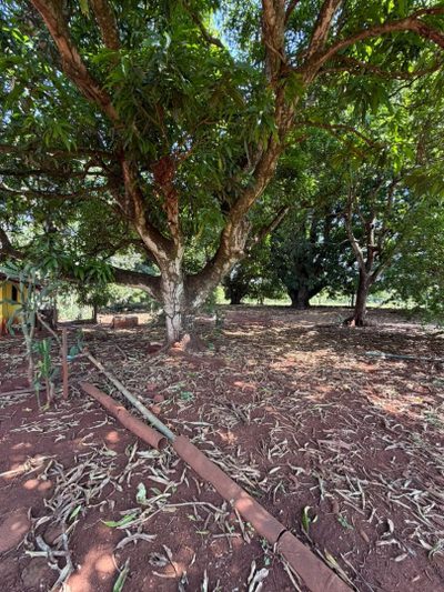 Fazenda, 5 hectares - Foto 2