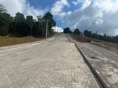 Terreno, 390 hectares - Foto 3