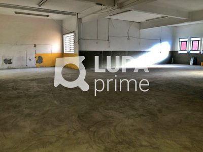 Depósito-Galpão, 834 m² - Foto 5