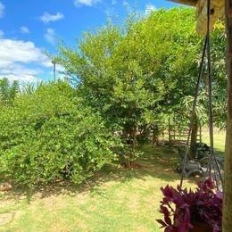 Fazenda, 1300 m² - Foto 5