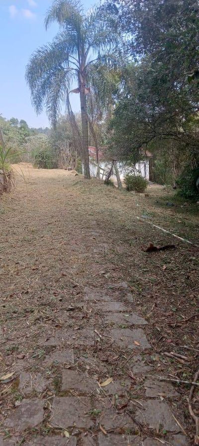 Terreno, 21 hectares - Foto 3