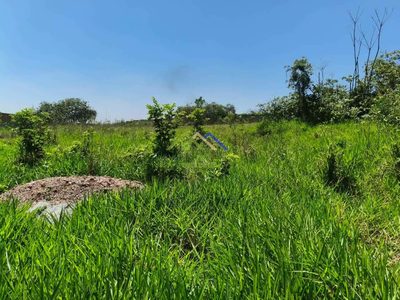 Terreno, 3453 m² - Foto 5