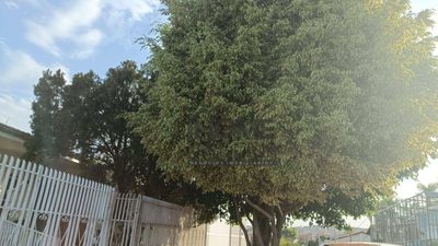 Casa, 5 quartos, 340 m² - Foto 4