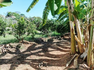Terreno, 1700 m² - Foto 3