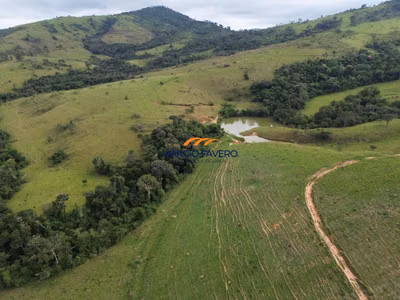 Fazenda, 334 hectares - Foto 1