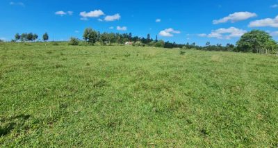 Fazenda, 252 hectares - Foto 3