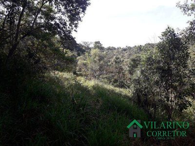 Terreno, 3 hectares - Foto 3