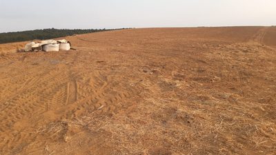 Fazenda, 14 hectares - Foto 1