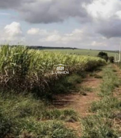 Fazenda - Foto 2
