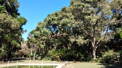 Terreno, 7 hectares - Foto 3