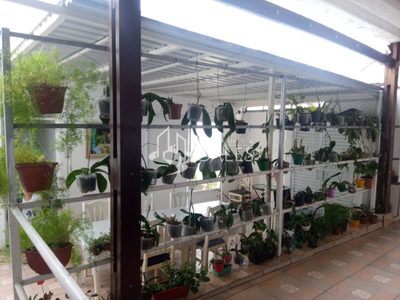 Casa, 5 quartos, 130 m² - Foto 4
