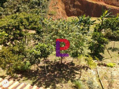 Chácara, 2 quartos, 1550 m² - Foto 4