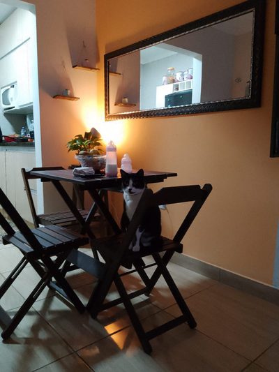 Casa, 2 quartos - Foto 5