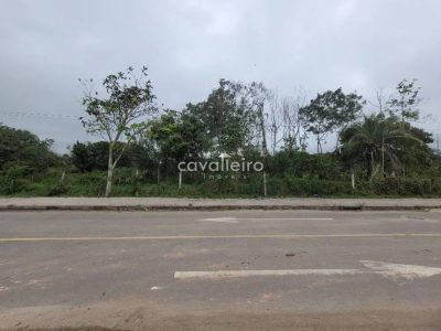 Terreno, 3200 m² - Foto 1
