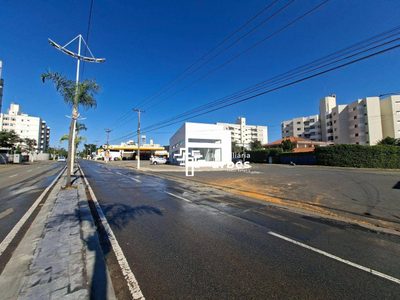 Loja-Salão, 300 m² - Foto 3