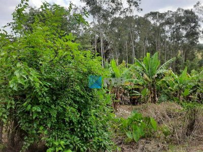 Loteamento e Condomínio, 5000 m² - Foto 2