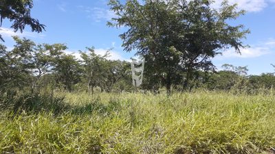 Terreno, 1250 m² - Foto 1