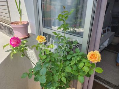 Apartamento, 2 quartos, 64 m² - Foto 4