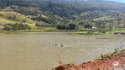 Fazenda, 107 hectares - Foto 4